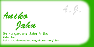 aniko jahn business card